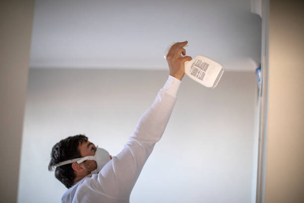 Best Post-Flood Mold Remediation in River Road, WA